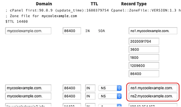 تنظیمات DNS اختصاصی در WHM